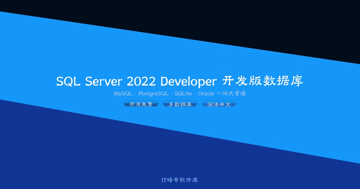 SQL Server 2022 Developer 开发版数据库下载安装教程 - IT峰哥软件库
