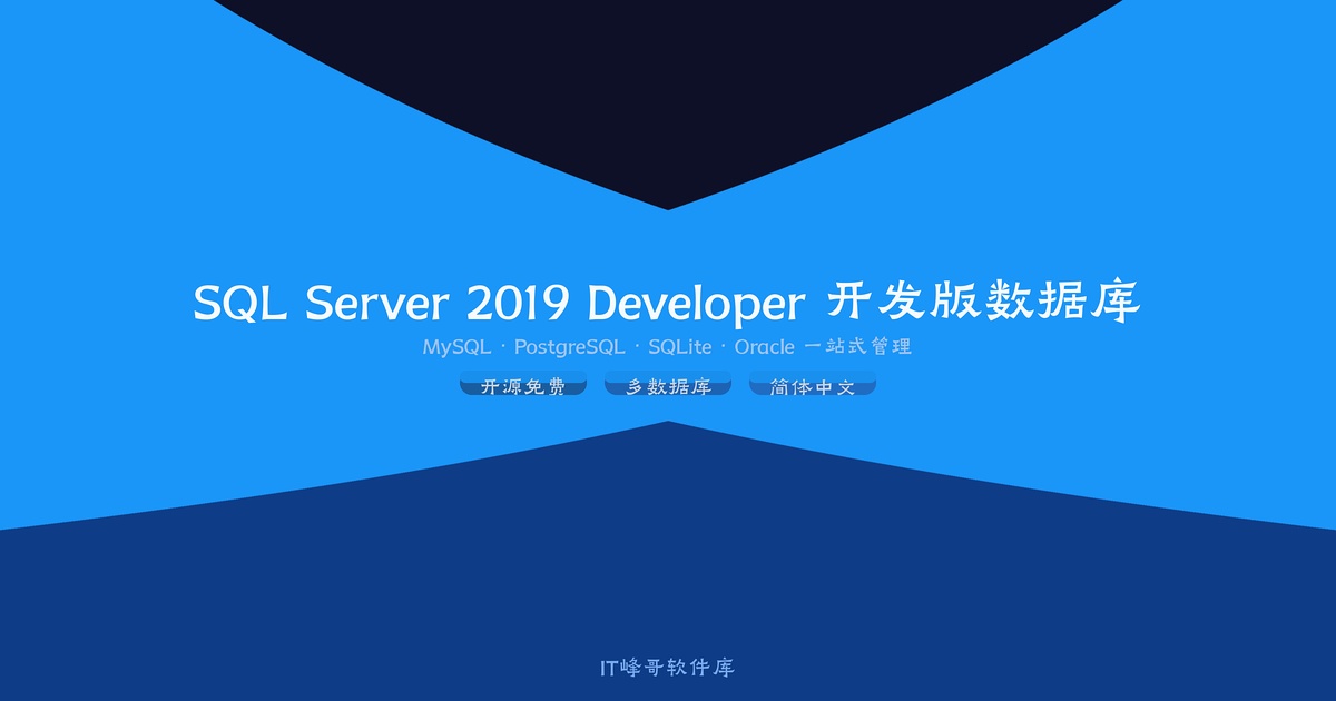 SQL Server 2019 Developer 开发版数据库功能介绍 - IT峰哥软件库