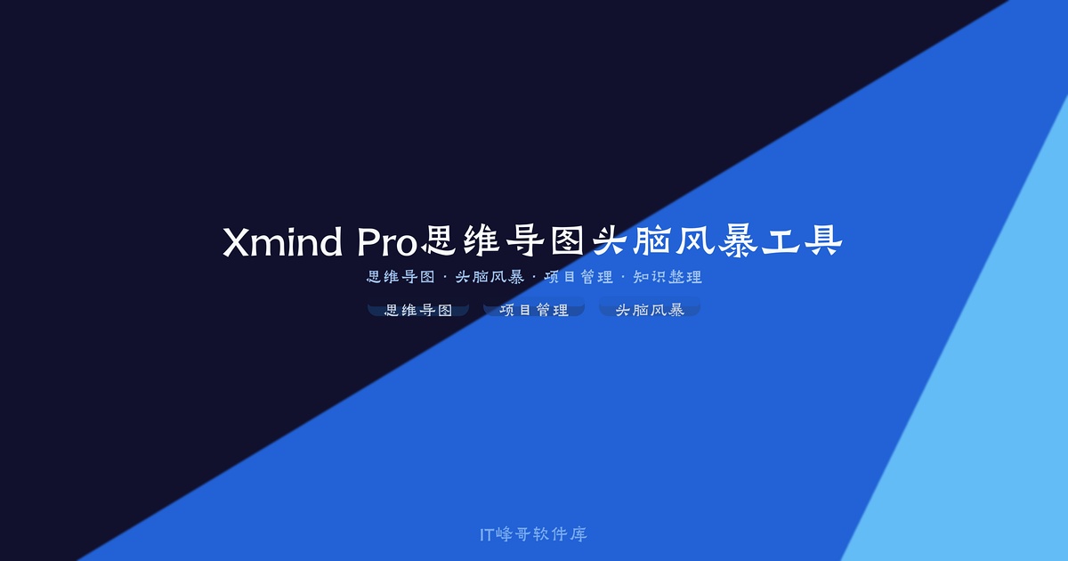 Xmind Pro 25.04 思维导图头脑风暴工具 - IT峰哥软件库