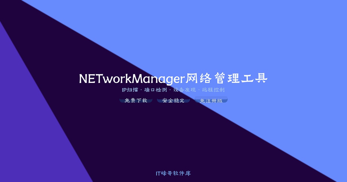 NETworkManager 4.5 网络管理工具集 - IT峰哥软件库