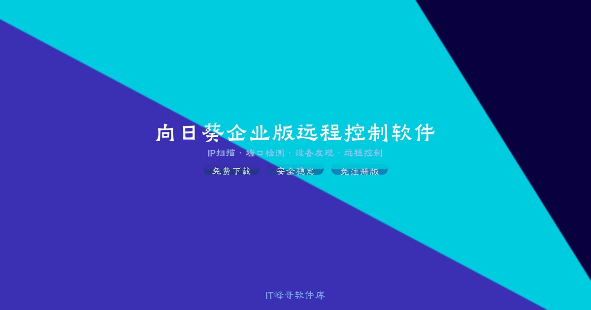 向日葵企业版 14 远程控制软件 - IT峰哥软件库