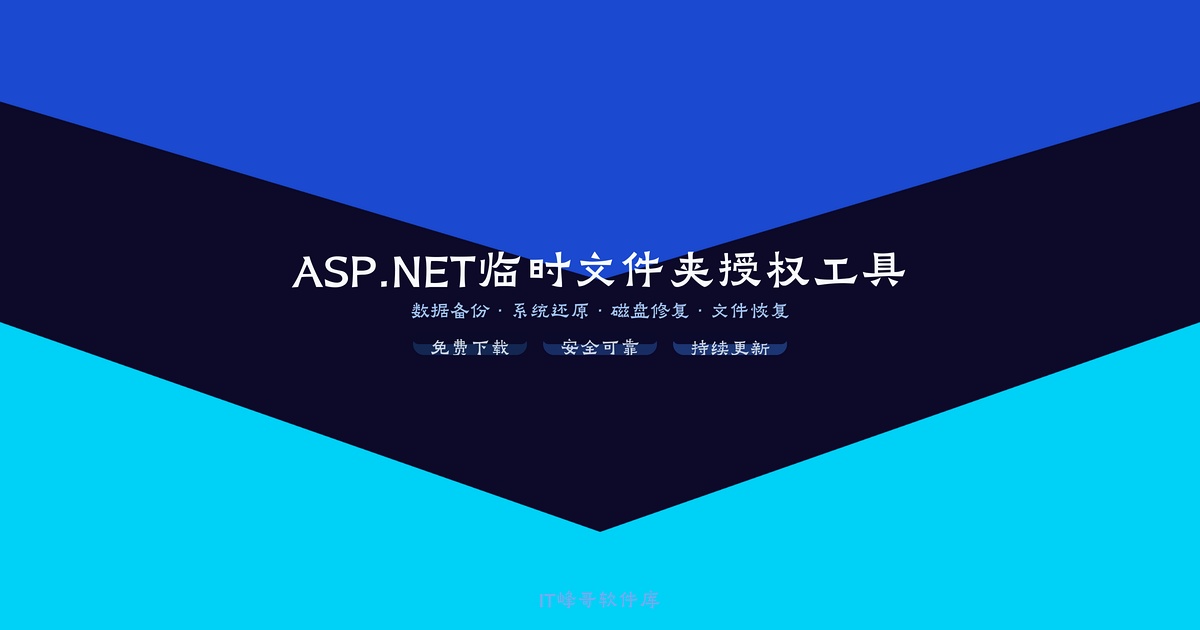 ASP.NET临时文件夹授权工具 网站权限修复 - IT峰哥软件库