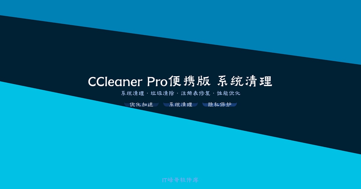 CCleaner Pro v6.18.10838 便携版 系统清理优化工具下载 - IT峰哥软件库