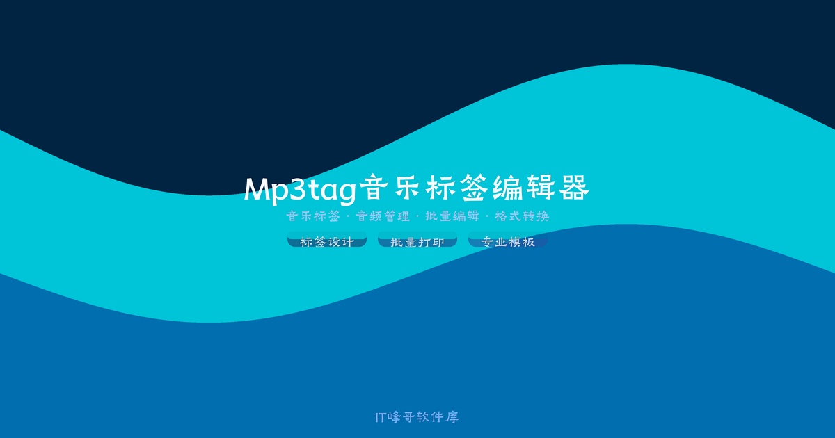 Mp3tag v3.35 音乐标签编辑器便携汉化版：下载安装及使用教程 - IT峰哥软件库