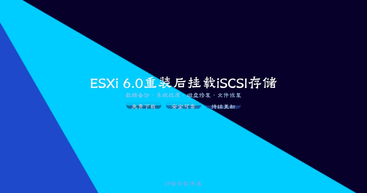 ESXi 6.0 iSCSI存储挂载 - IT峰哥软件库