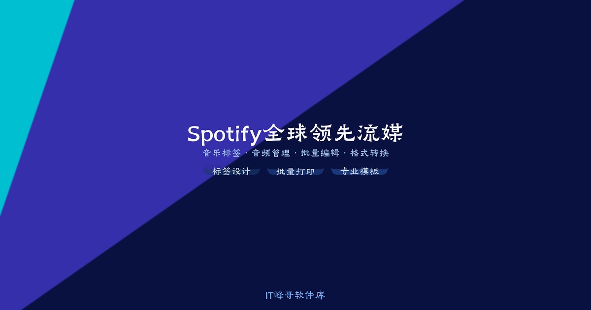 Spotify Windows版 — 全球领先流媒体音乐平台 - IT峰哥软件库