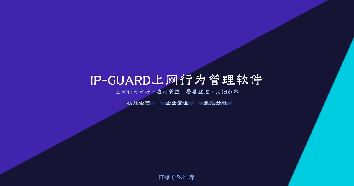 IP-GUARD上网行为管理软件
