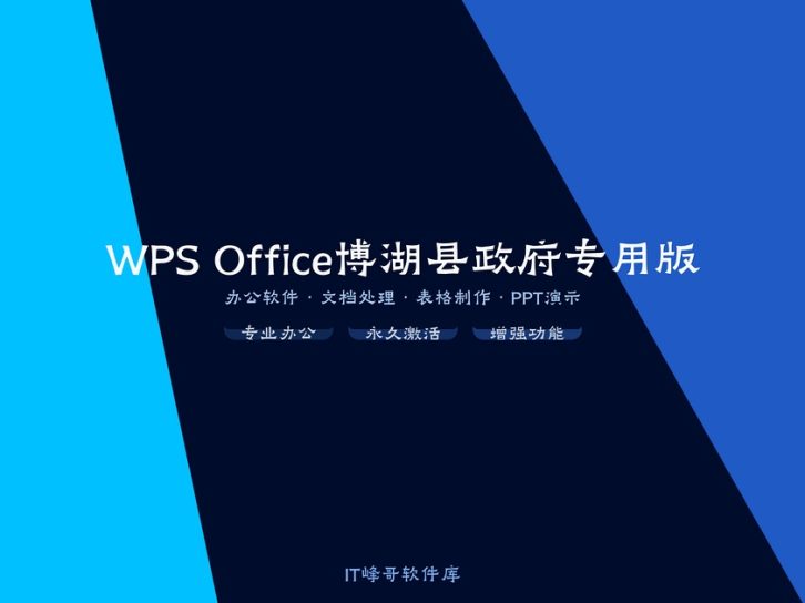 WPS Office 2019 博湖县政府专用版 政务办公专属定制