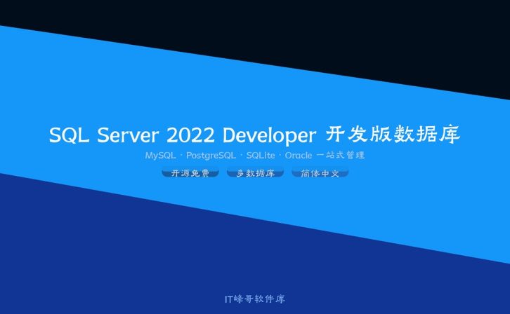 SQL Server 2022 Developer 开发版数据库下载安装教程