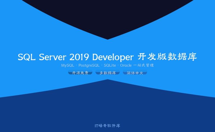 SQL Server 2019 Developer 开发版数据库功能介绍