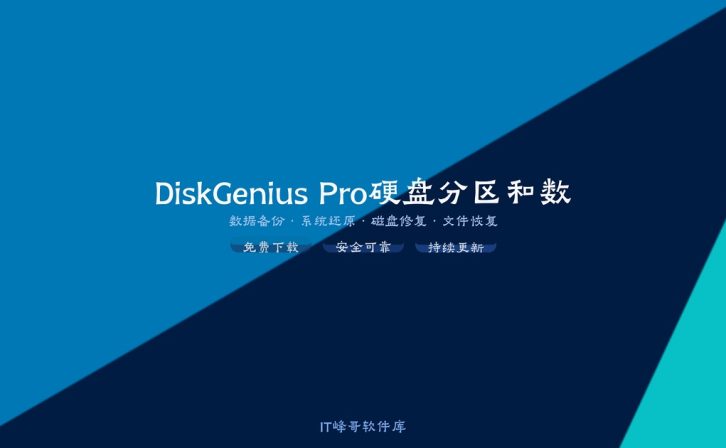DiskGenius Pro 5.5 硬盘分区和数据恢复工具