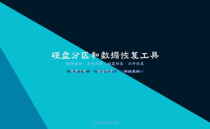 DiskGenius Pro 5.5 硬盘分区和数据恢复工具