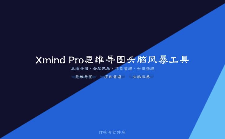 Xmind Pro 25.04 思维导图头脑风暴工具
