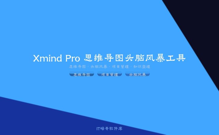 Xmind Pro 25.04 思维导图头脑风暴工具