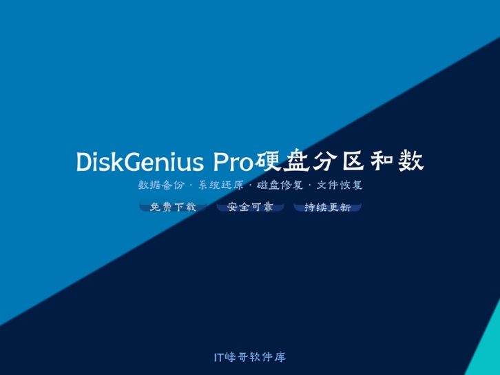 DiskGenius Pro 5.5 硬盘分区和数据恢复工具