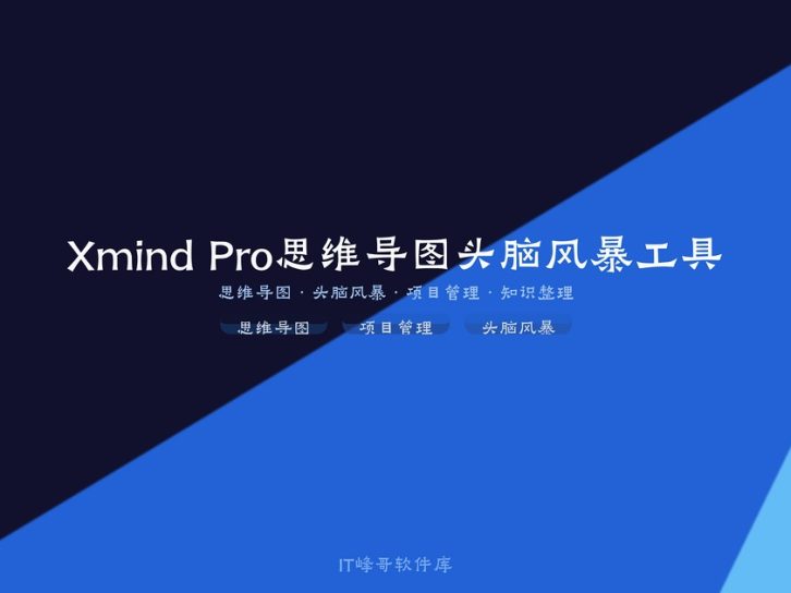 Xmind Pro 25.04 思维导图头脑风暴工具