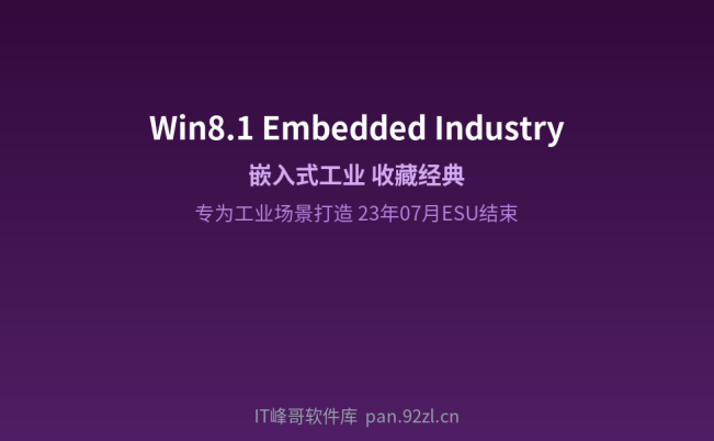 Win8.1嵌入式工业企业版收藏版 23年07月延长结束 收藏经典