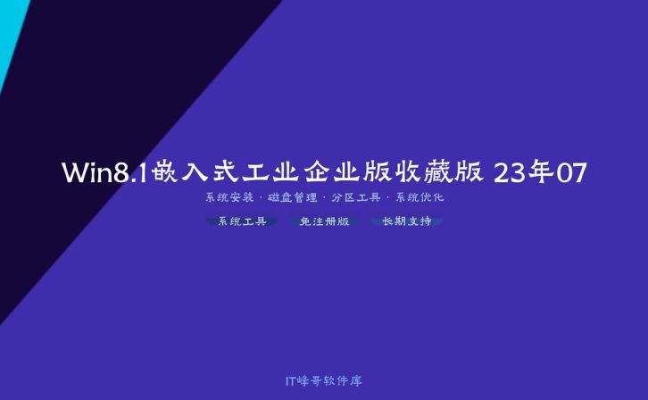 Win8.1嵌入式工业企业版收藏版 23年07月延长结束 收藏经典