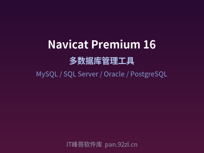 Navicat Premium 16 — 专业数据库管理开发工具
