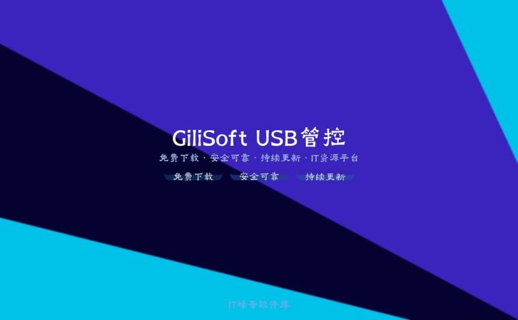 GiliSoft USB Lock v10.5.0电脑USB设备管控软件 – 守护数据安全
