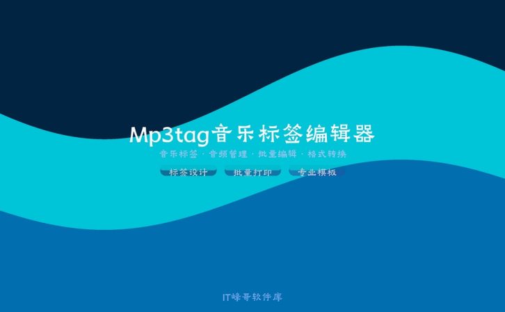 Mp3tag v3.35 音乐标签编辑器便携汉化版:下载安装及使用教程