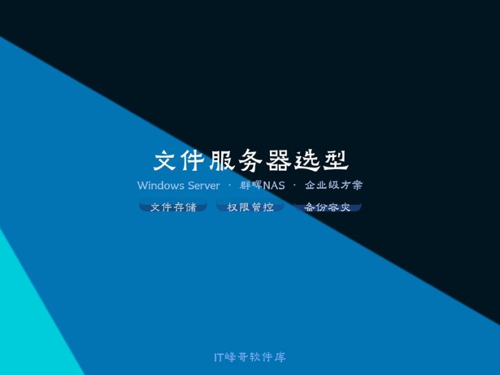 Windows Server 文件服务器 vs 群晖 NAS：选谁更划算？
